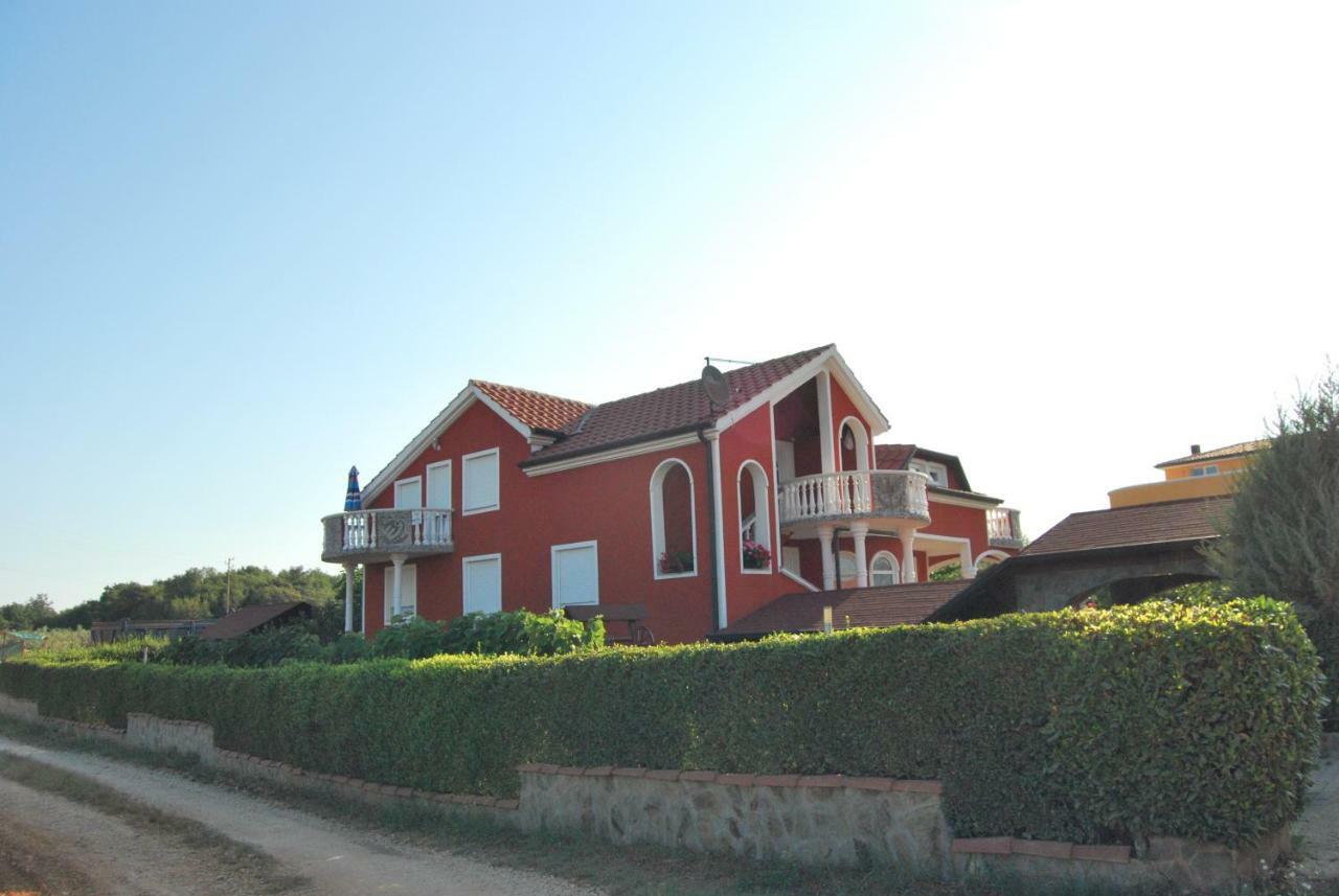 Apartma Jelka Novigrad Istria 外观 照片