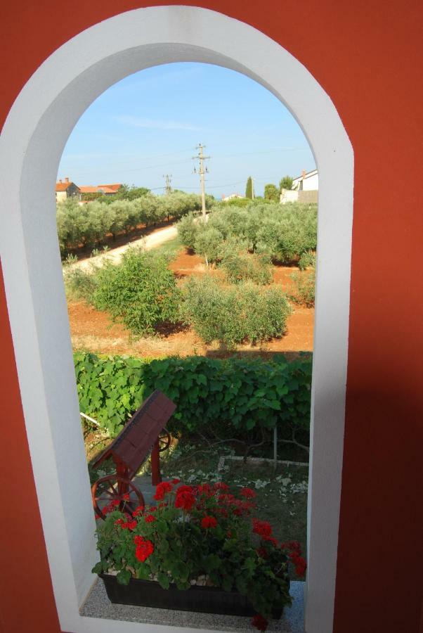 Apartma Jelka Novigrad Istria 外观 照片