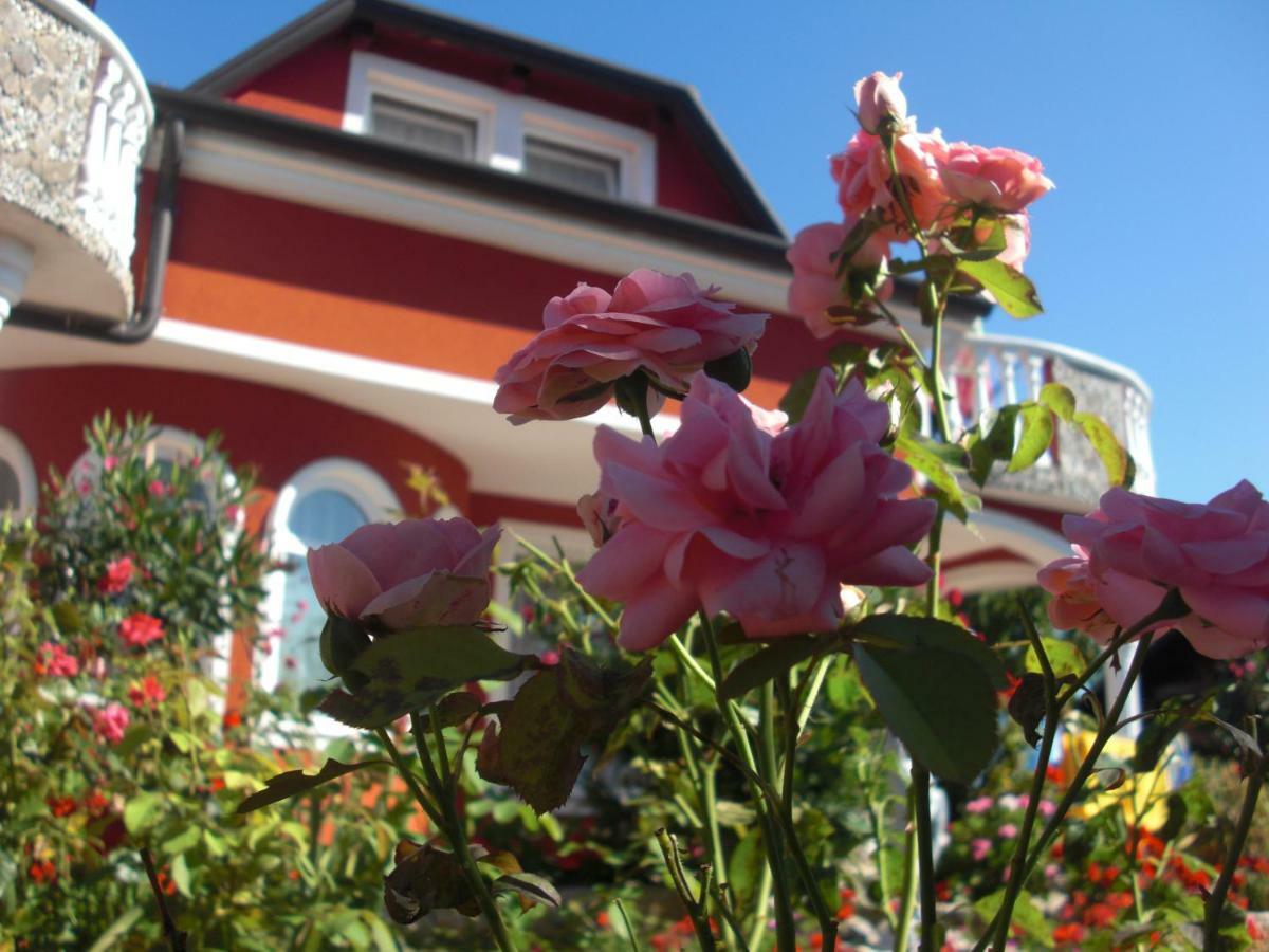 Apartma Jelka Novigrad Istria 外观 照片
