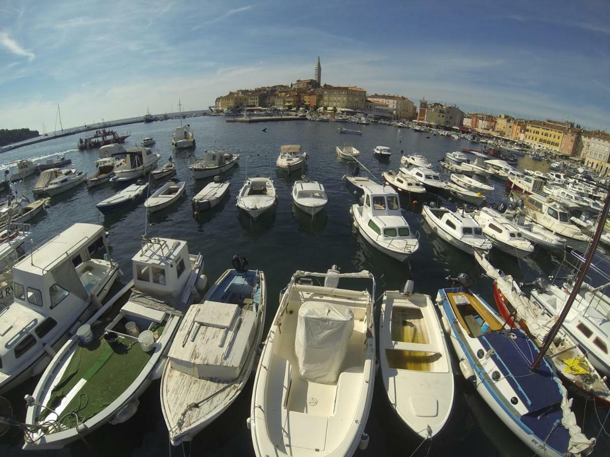 Apartma Jelka Novigrad Istria 外观 照片