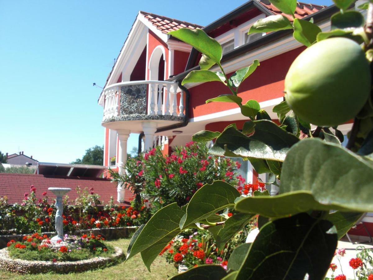 Apartma Jelka Novigrad Istria 外观 照片