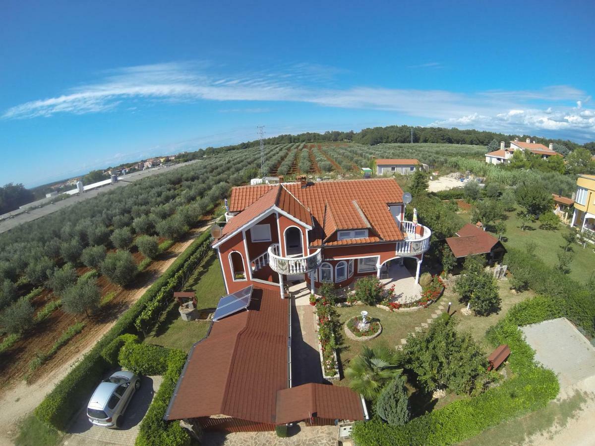 Apartma Jelka Novigrad Istria 外观 照片