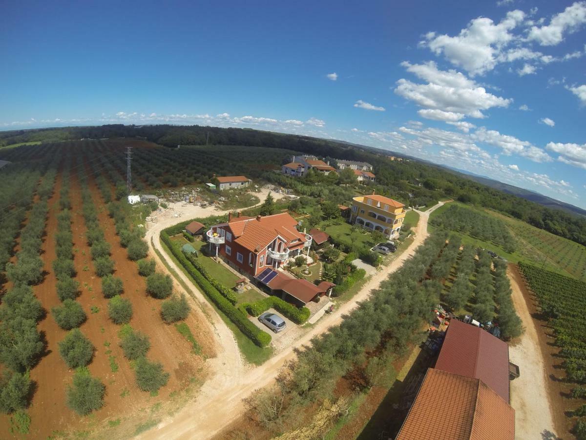 Apartma Jelka Novigrad Istria 外观 照片