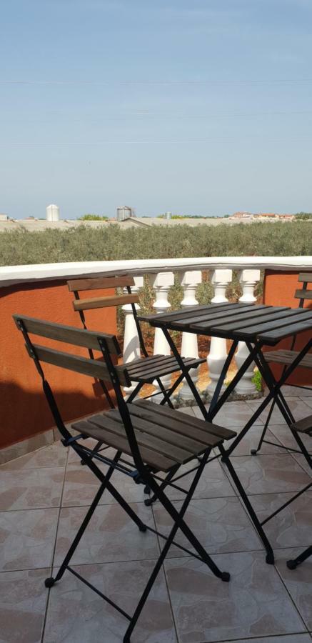 Apartma Jelka Novigrad Istria 外观 照片