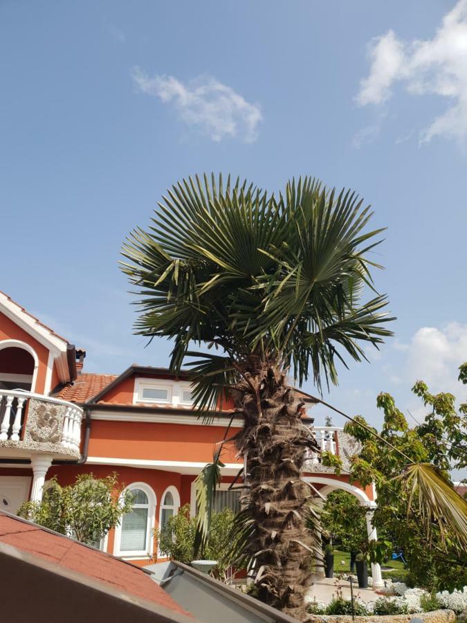 Apartma Jelka Novigrad Istria 外观 照片