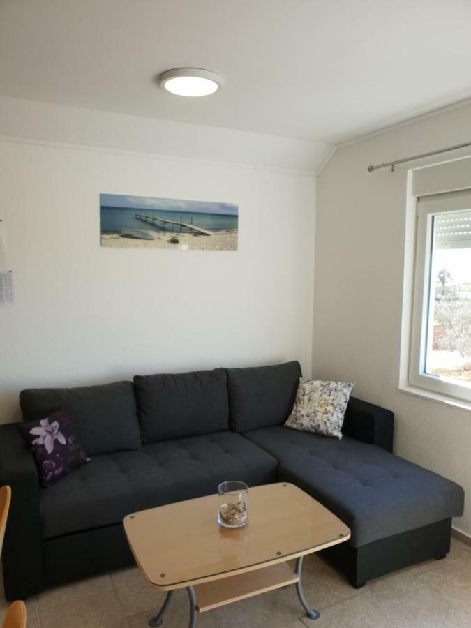 Apartma Jelka Novigrad Istria 外观 照片