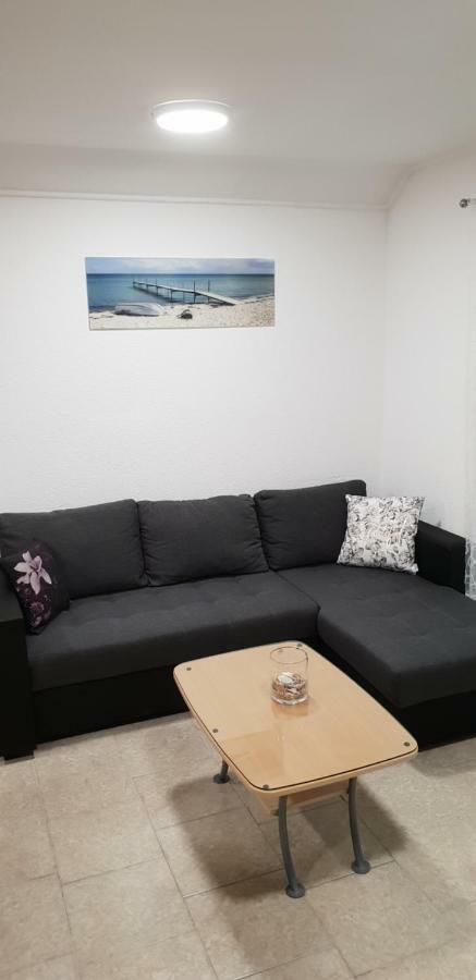 Apartma Jelka Novigrad Istria 外观 照片