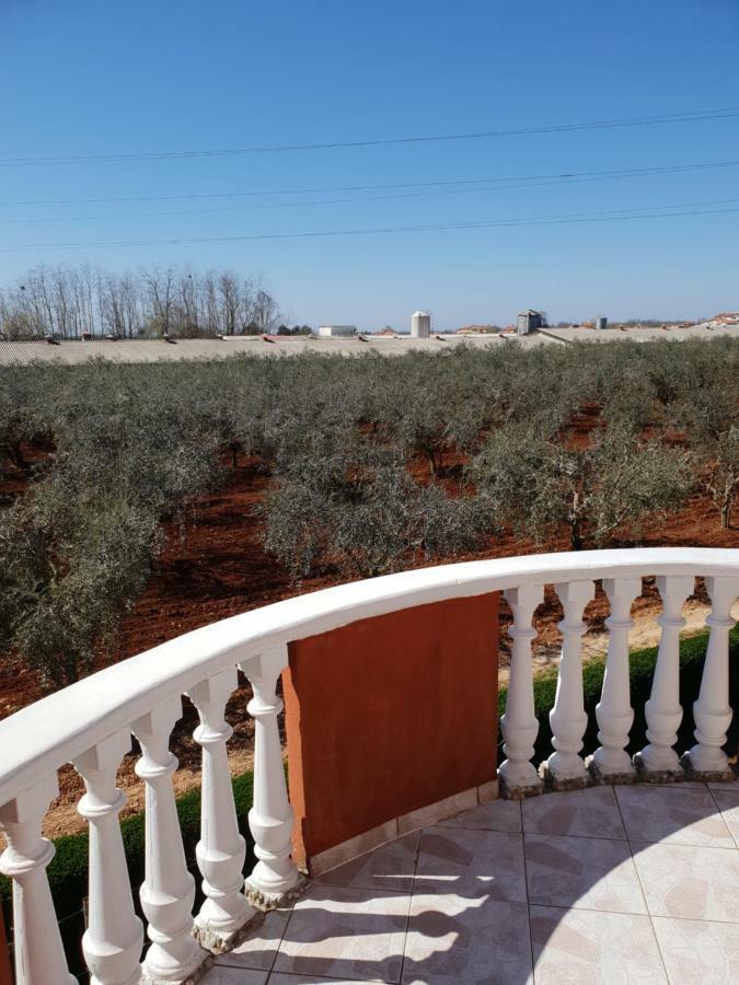 Apartma Jelka Novigrad Istria 外观 照片