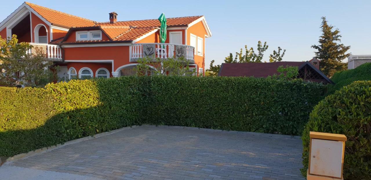 Apartma Jelka Novigrad Istria 外观 照片
