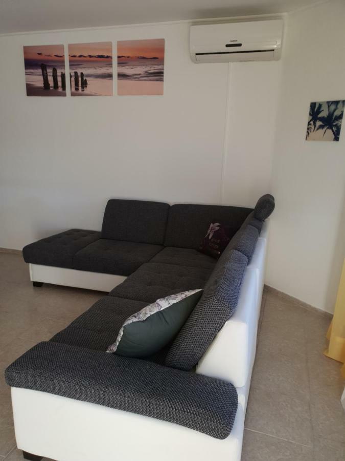 Apartma Jelka Novigrad Istria 外观 照片