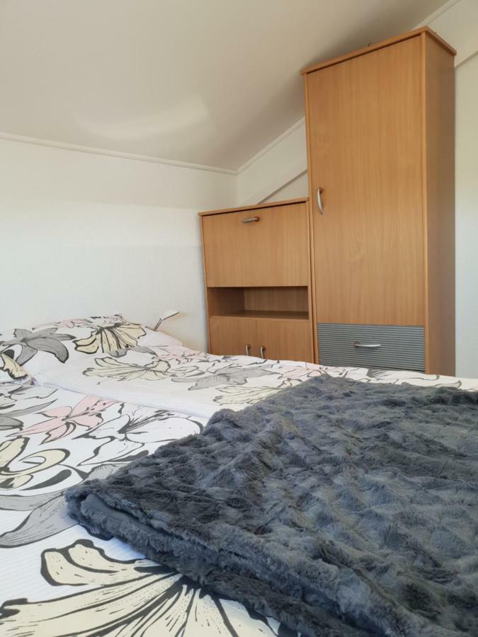 Apartma Jelka Novigrad Istria 外观 照片